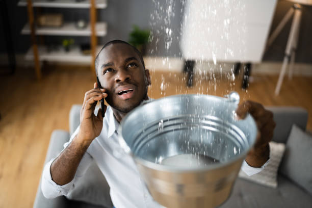 Best Residential water damage restoration  in Crest, CA