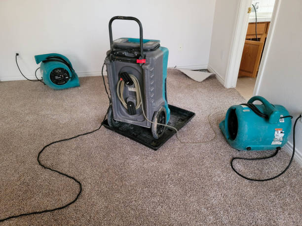 Best Emergency water damage restoration  in Crest, CA