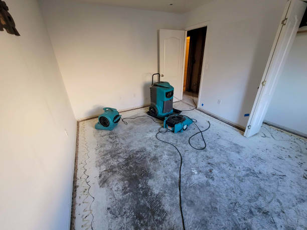 Best Water damage restoration near me  in Crest, CA