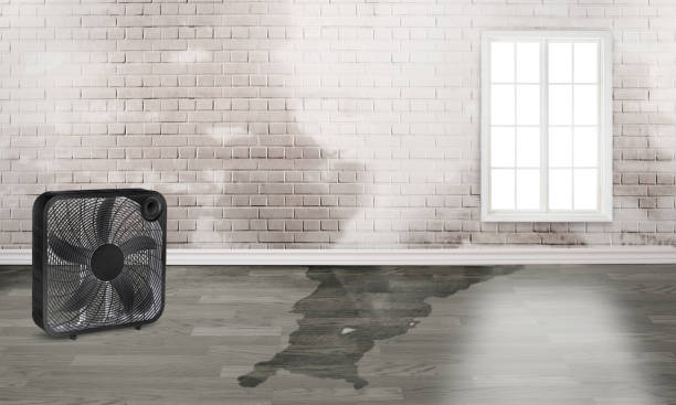 Best Commercial water damage restoration  in Crest, CA