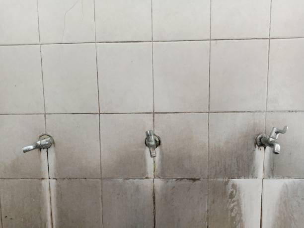  Crest, CA Water damage restoration Pros
