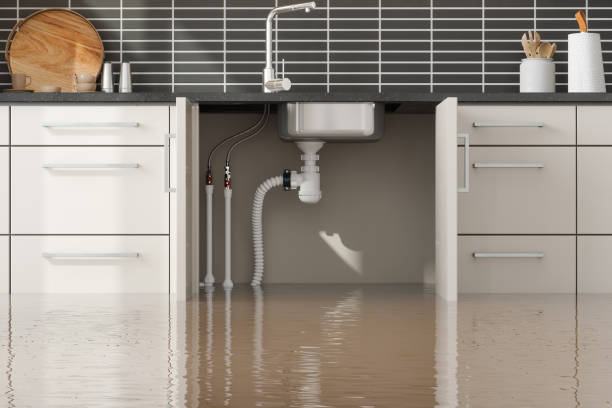 Best 24-hour water damage restoration  in Crest, CA