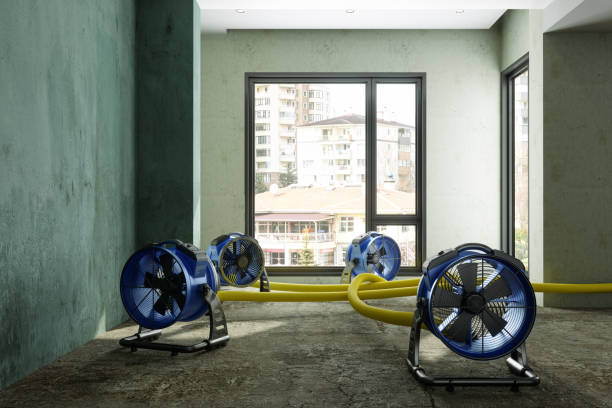 Best Sewage cleanup and water damage restoration  in Crest, CA