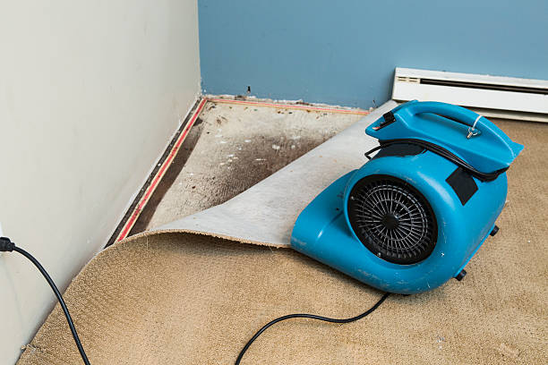 Best Flood damage cleanup  in Crest, CA